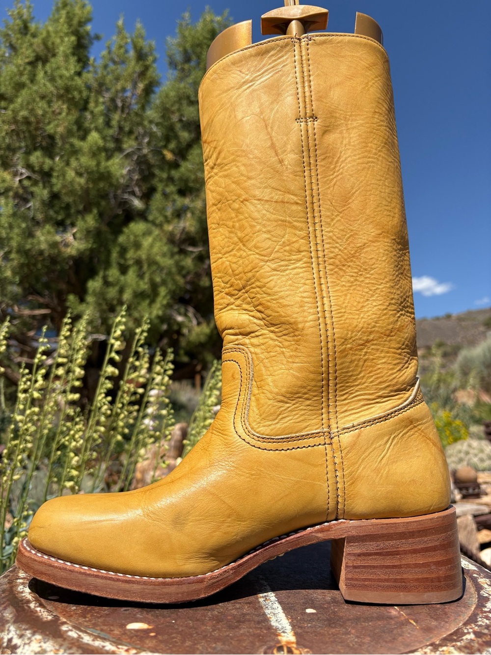 FRYE 🇺🇸 Campus 14L Banana Boots
